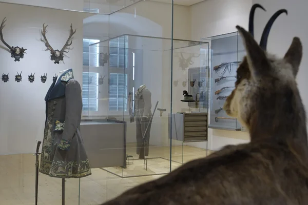 Innenansicht des Museum Schloss Stainz mit Vitrinen