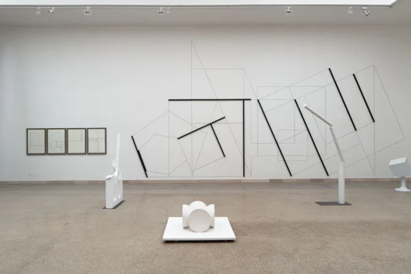 Kolibal_biennale_polak_2