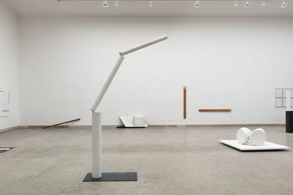 Kolibal_biennale_polak_3