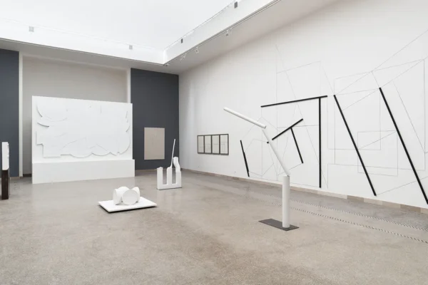 Kolibal_biennale_polak_5
