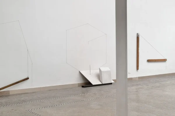 Kolibal_biennale_polak_6