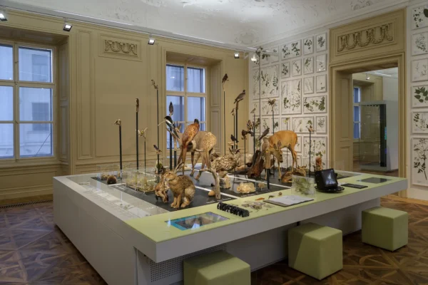 Ausstellungstisch mit interaktiven Elementen und Wildtierpräparaten